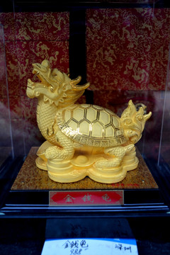 金钱龟