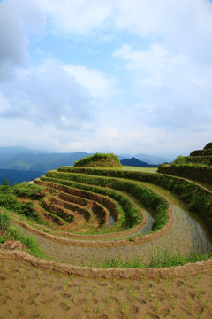 梯田风光