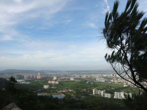 高山俯瞰全市建筑全景图