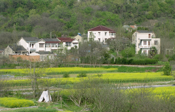 江南山村春归