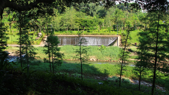 深圳水库排洪河