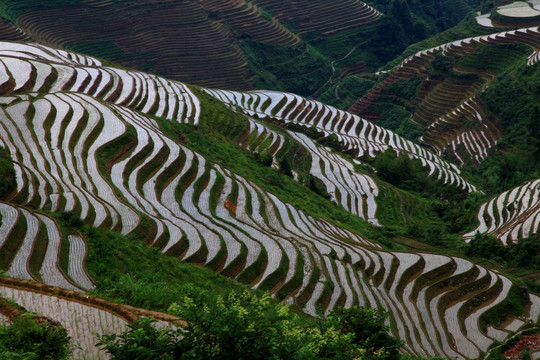 龙胜梯田风光