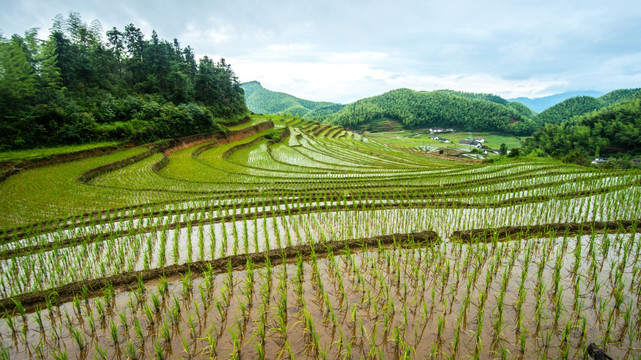 乡村风光