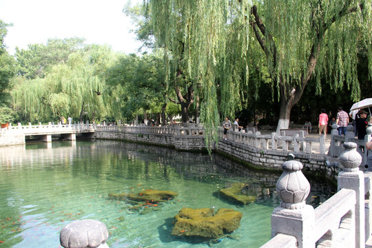 济南趵突泉公园泉水清澈见底