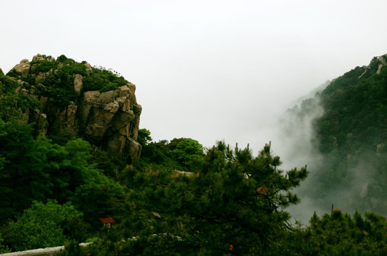 泰山 云海 泰山云海