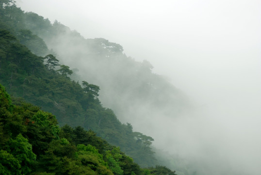 泰山 云海 泰山云海