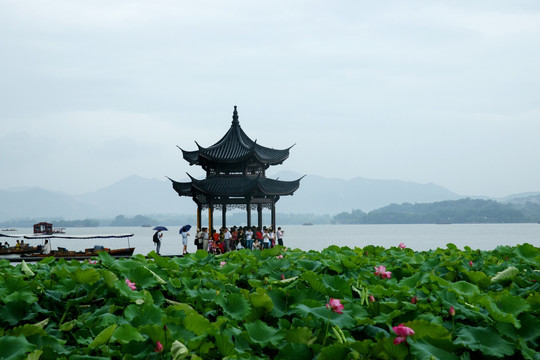 亭子 亭台 凉亭 湖泊 湖水