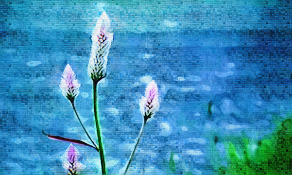 花卉