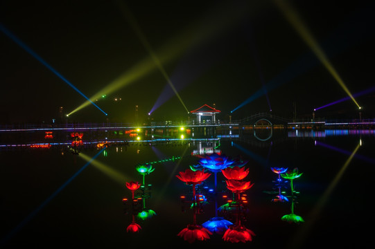 莲花湖夜景