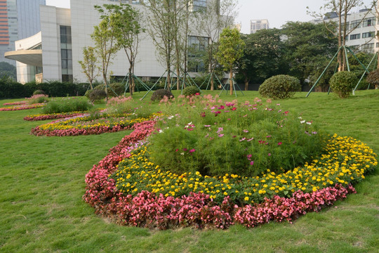 广场草坪组合花卉