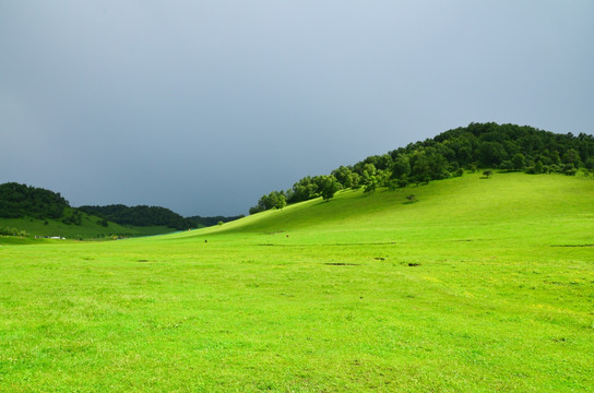 草原牧场