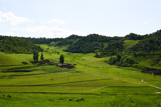 草原牧场