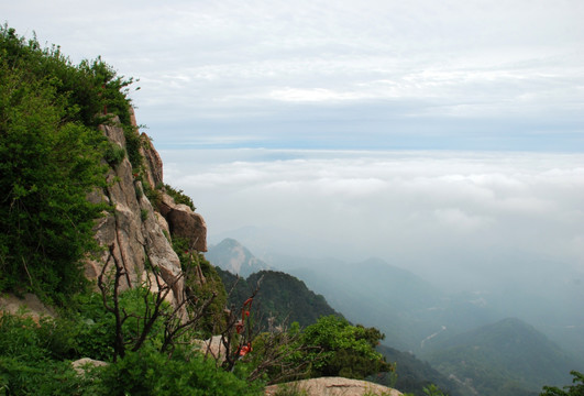 泰山 云海  泰山云海 山脉