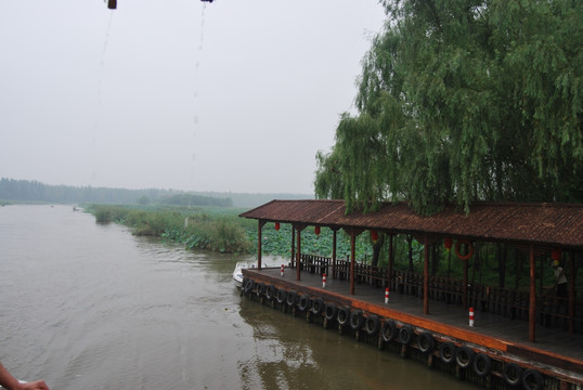 山东 微山湖 景致