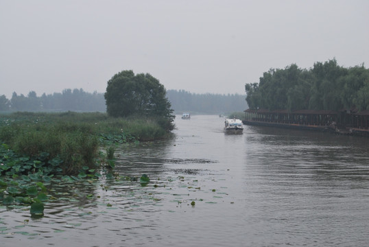 山东 微山湖  景致  湖水