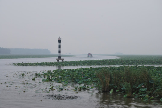 山东 微山湖