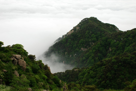 泰山 云海 泰山云海