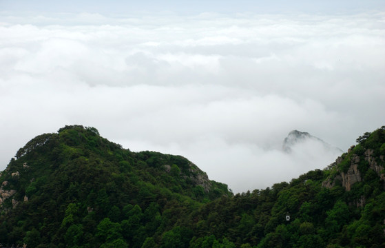 泰山 云海 泰山云海