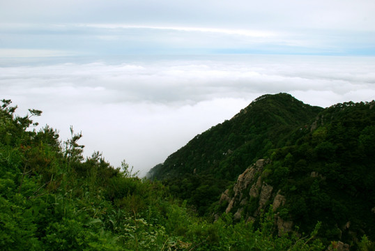 泰山 云海 泰山云海