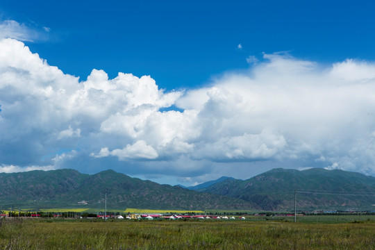 草原 牧场