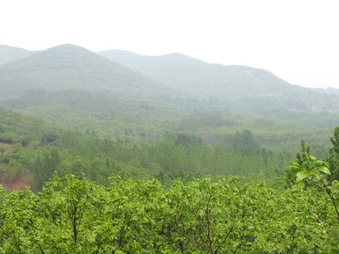 春季山川