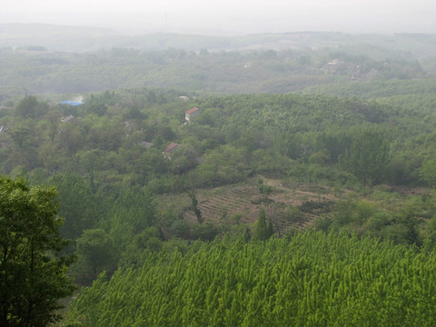 绿树山村伴花园