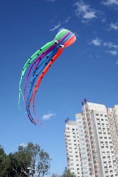 松花江畔飞翔的风筝