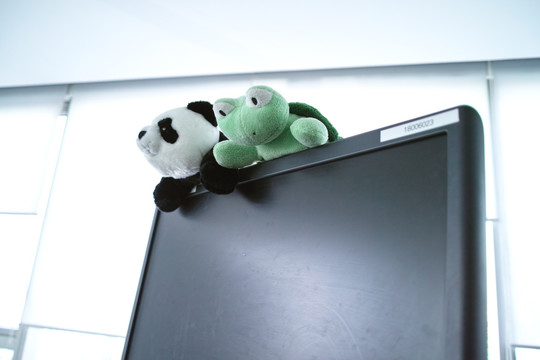 熊猫和乌龟的玩偶在显示器上