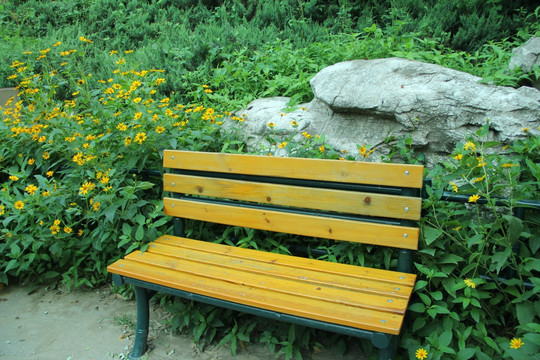 公园椅子野花