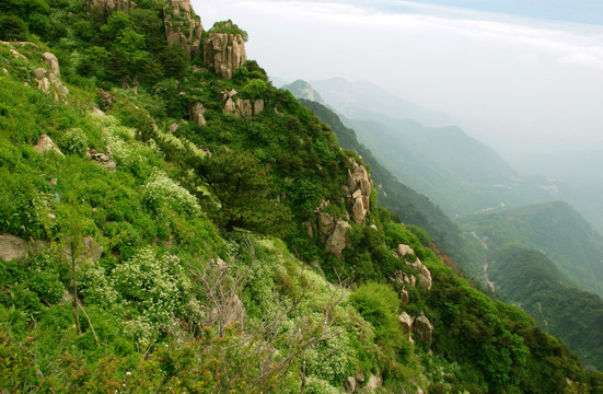 泰山 云海  泰山云海 山脉