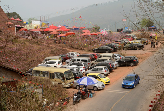 龙泉桃花沟农家乐停车场