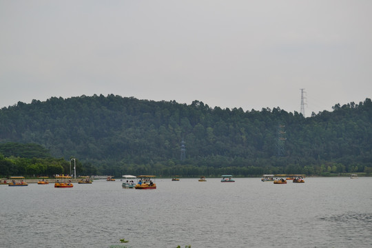 顺峰山公园风景