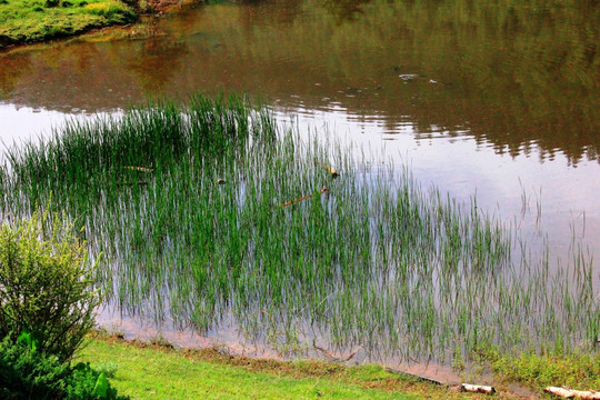 香格里拉属都湖