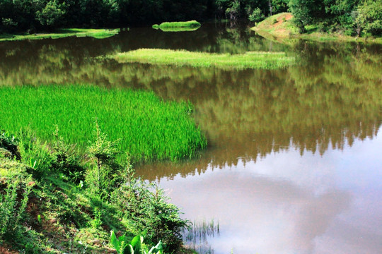 香格里拉属都湖