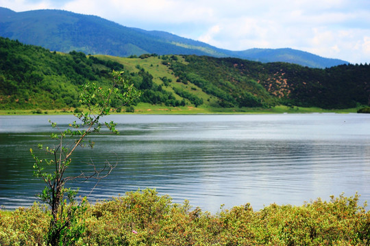 香格里拉属都湖