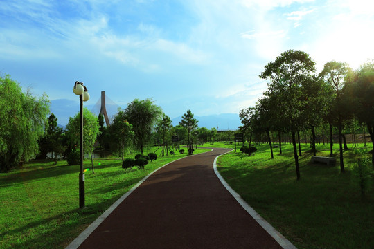 公园走道