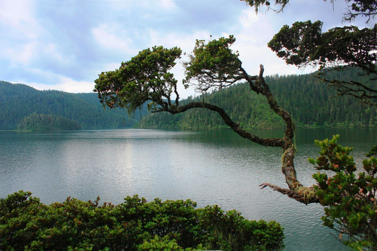 香格里拉碧塔海