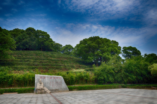 岳阳风景