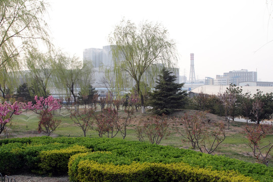 北京绿化