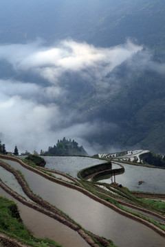 贵州梯田