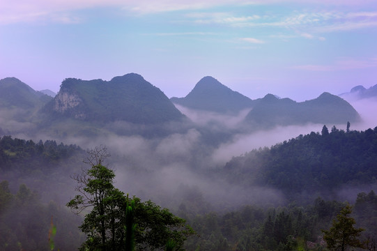 风景