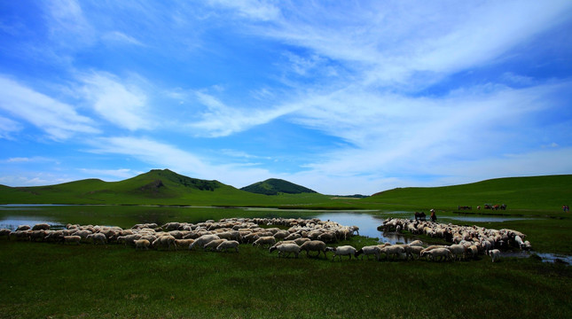 野鸭湖