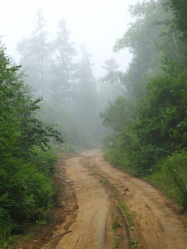 晨雾山路