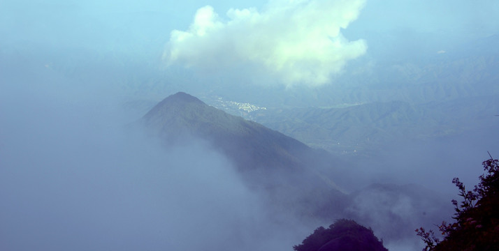 高山云雾