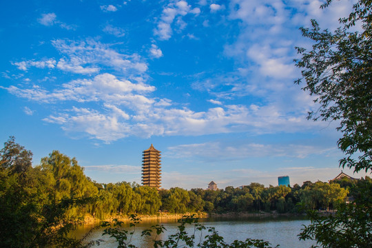 风景