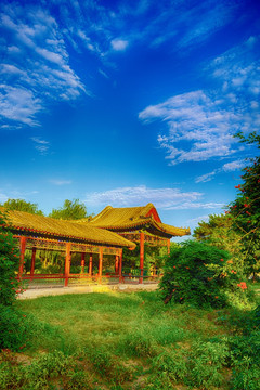 静园外景