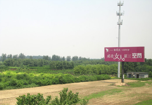 河北沧州田野