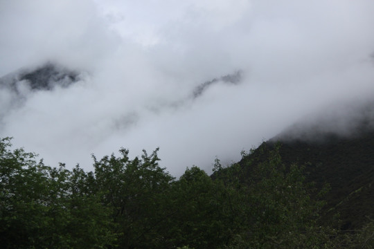 山中云雾