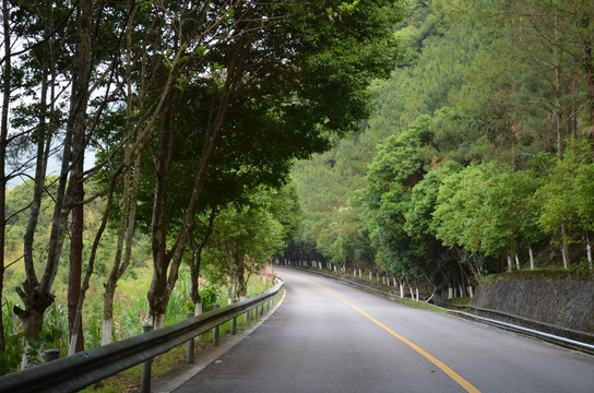 林间小路