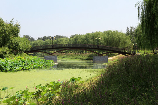 河水 小桥